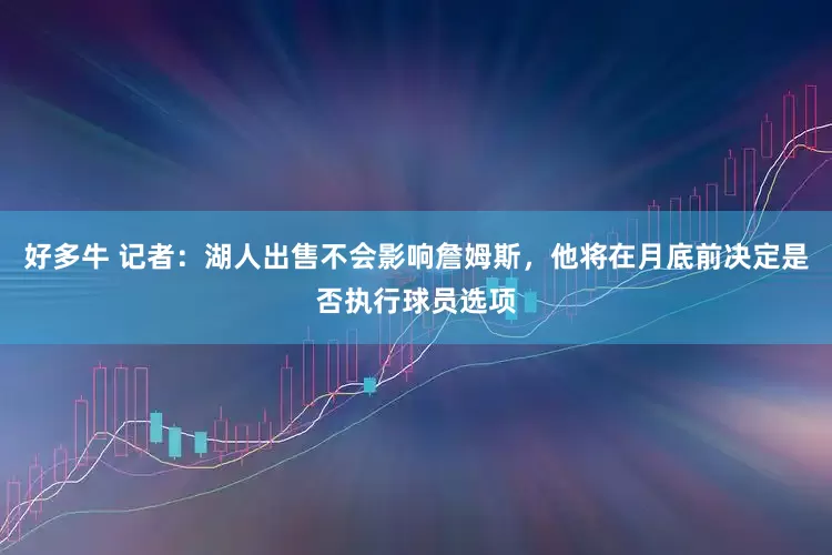 好多牛 记者：湖人出售不会影响詹姆斯，他将在月底前决定是否执行球员选项