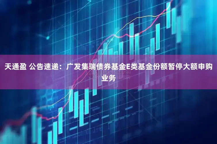 天通盈 公告速递：广发集瑞债券基金E类基金份额暂停大额申购业务