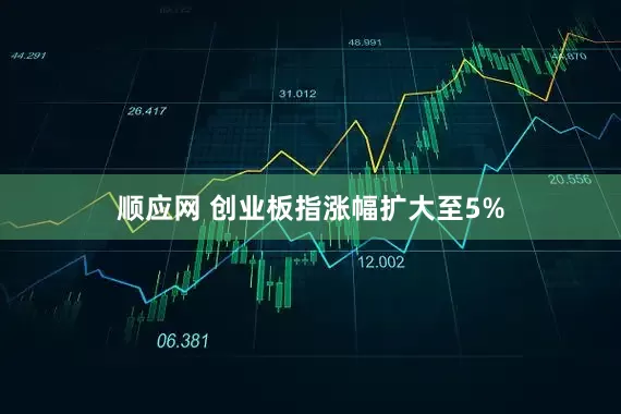 顺应网 创业板指涨幅扩大至5%