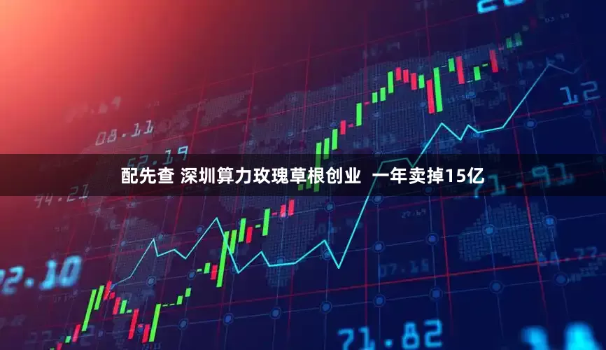 配先查 深圳算力玫瑰草根创业  一年卖掉15亿